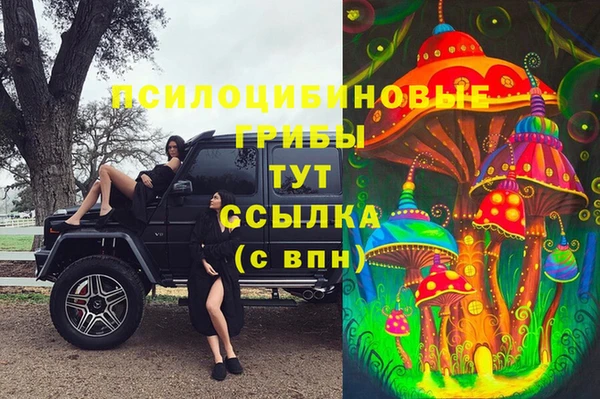 первитин Киреевск